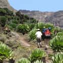 Kenya is listed (or ranked) 31 on the list The Best Countries for Hiking