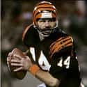 Ken Anderson on Random Quarterback To Achieve A Perfect Passer Rating