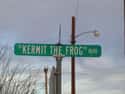 Kermit on Random Weird Small Towns In Texas