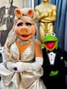Kermit the Frog on Random Most Tragic Celebrity Breakup Stories