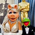 Kermit the Frog on Random Most Tragic Celebrity Breakup Stories