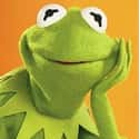 Kermit the Frog on Random Greatest TV Characters