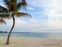 Key Biscayne on Random Best Beaches in Florida