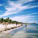 Key West on Random Best Beaches in Florida