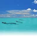 Key West on Random Best Honeymoon Destinations in the US