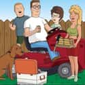 King of the Hill on Random TV Shows That Actually Deserve A Revival