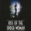 Kiss of the Spider Woman on Random Best Transgender Movies