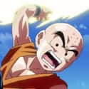 Krillin on Random Dragon Ball Character You Are, According To Your Zodiac Sign
