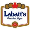 Labatt Brewing Company on Random Top Beer Companies