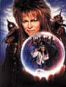 Labyrinth on Random Best Coming of Age Movies