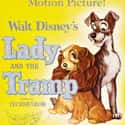 Peggy Lee, Stan Freberg, Dallas McKennon   Lady and the Tramp is a 1955 American animated musical romance film directed by Clyde Geronimi, Wilfred Jackson, and Hamilton Luske.