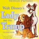 Lady and the Tramp on Random Best Cat Movies