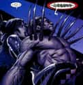 Lady Deathstrike on Random Most Terrifying & Scariest Villains In Comics