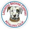 Lagunitas Brewing Company on Random Top Beer Companies