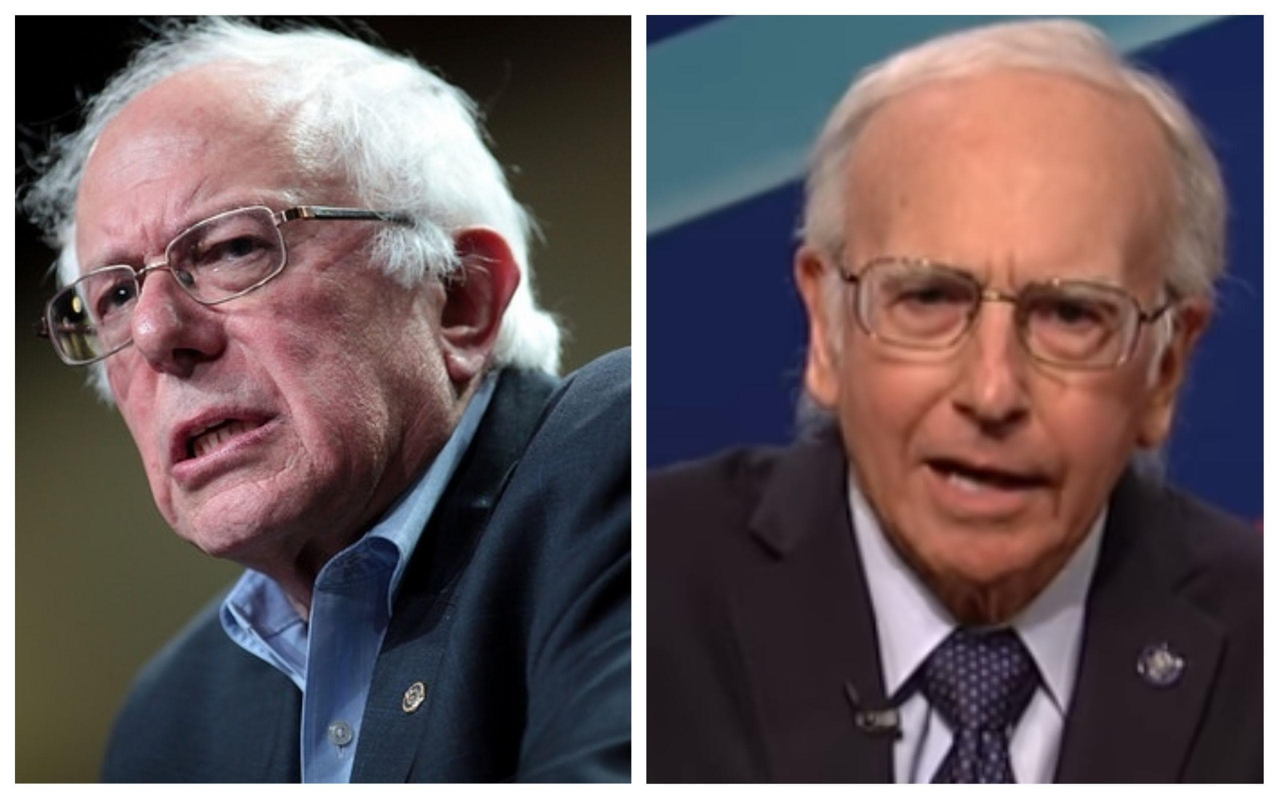 Bernie Sanders - Larry David