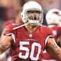 Larry Foote is listed (or ranked) 47 on the list The Best Arizona Cardinals Linebackers of All Time