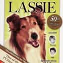 Lassie on Random Greatest Dog Movies