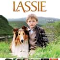 Lassie on Random Greatest Dog Movies