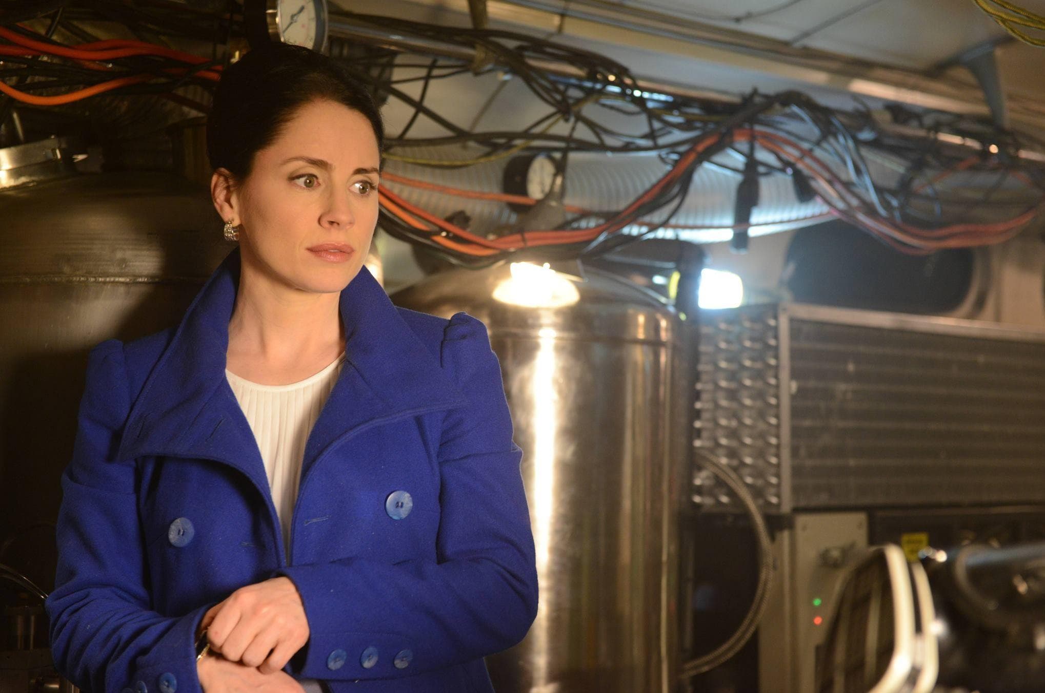 Laura Fraser Said 'Ja, Ich Spreche Deutsch,' But Really Sie Spricht Nicht Deutsch