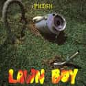 Lawn Boy on Random Best Phish Albums