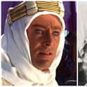 Lawrence of Arabia on Random Best Oscar-Winning Movies Based on True Stories