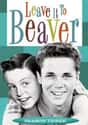 Leave It to Beaver on Random Very Best Shows That Aired in the 1960s