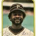 Lee Lacy is listed (or ranked) 18 on the list Longest Hitting Streaks in Baseball