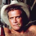 age 80   Lee Majors is an American television, film and voice actor, best known for his roles as Heath Barkley in the TV series The Big Valley, as Colonel Steve Austin in The Six Million Dollar Man and...