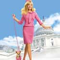 Legally Blonde on Random Best Movies to Watch When Getting Over a Breakup