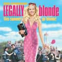 Legally Blonde on Random Greatest Date Movies