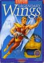 Legendary Wings on Random Single NES Game