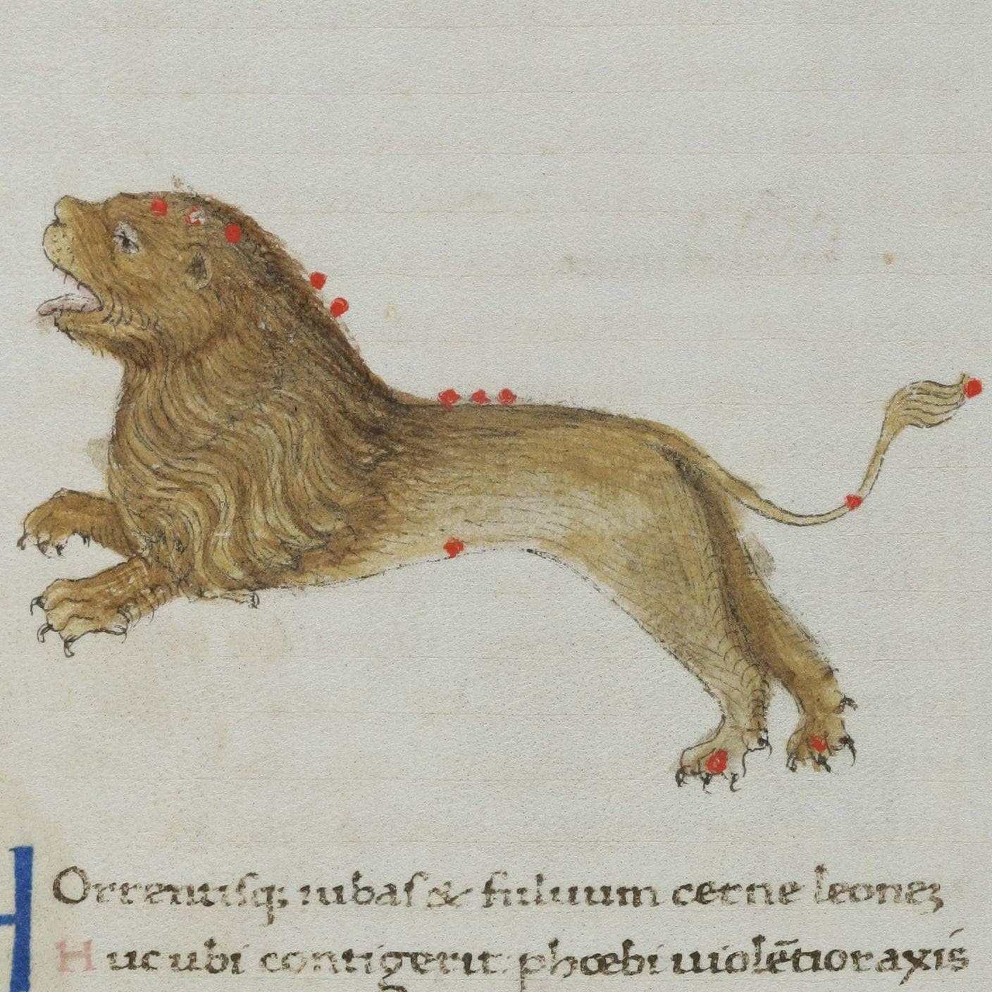 Leo (July 23 - August 22) is listed (or ranked) 5 on the list The Creepiest Thing About You, According To Your Zodiac Sign