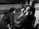 Les Diaboliques on Random Films Stephen King Has Awarded His Personal Stamp Of Approval