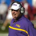 Les Miles on Random Best Current College Football Coaches