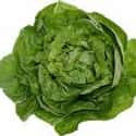 Lettuce on Random Best Foods to Buy Organic