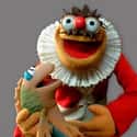Lew Zealand on Random Most Interesting Muppet Show Characters