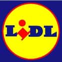 Lidl on Random Famous Companies Caught Selling Horse Meat