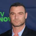 Liev Schreiber on Random People Who Has Hosted 'Saturday Night Live'