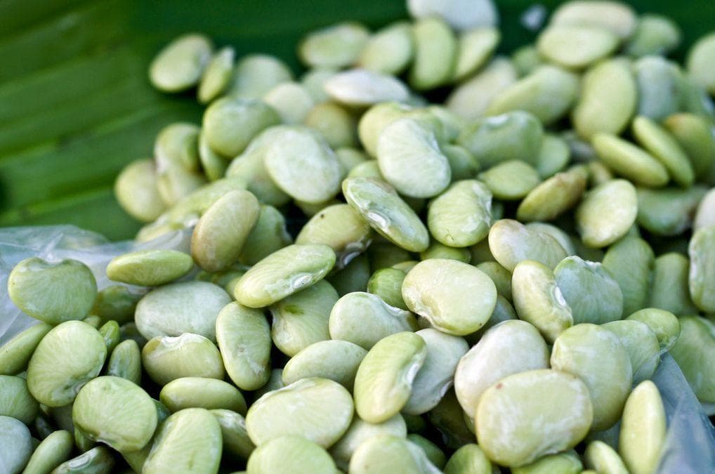 Foods That Could Kill You Ranked