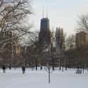 Lincoln Park on Random Best Things To Do In Chicago