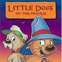 Little Dogs on the Prairie on Random Best Christian Television Kids Shows