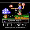 Little Nemo: The Dream Master on Random Single NES Game