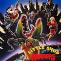Little Shop of Horrors on Random Musical Movies With Best Songs