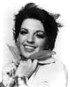Liza Minnelli on Random Greatest Gay Icons in Film
