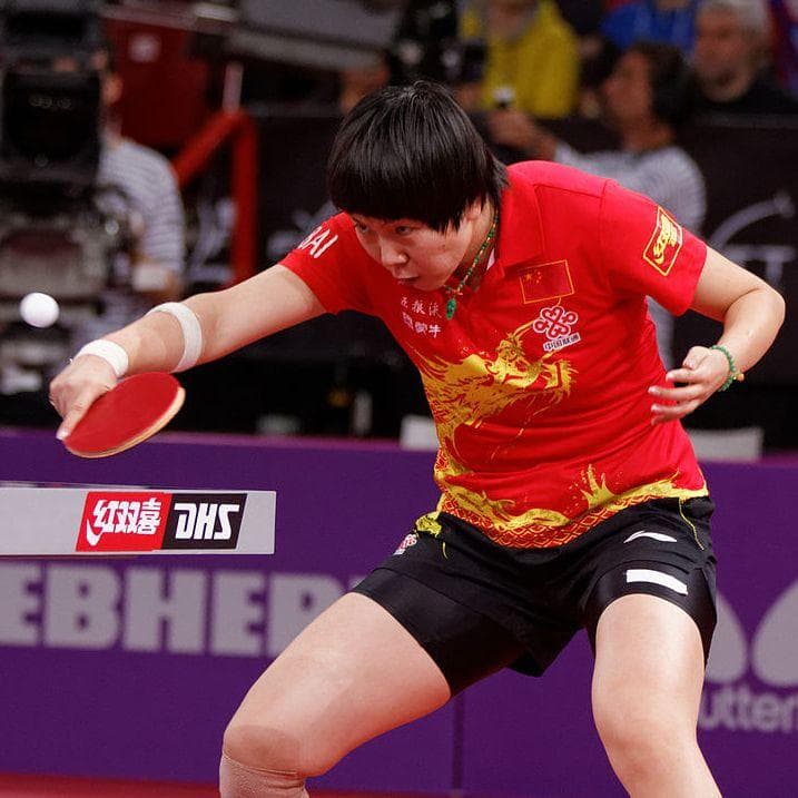 Top Table Tennis Player Of All Time Elcho Table