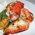 Lobster on Random Best (Non-Fish) Seafood