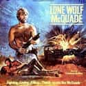 Lone Wolf McQuade on Random Best Kung Fu Movies of 1980s