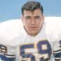Lonnie Warwick is listed (or ranked) 19 on the list The Best Minnesota Vikings Linebackers of All Time