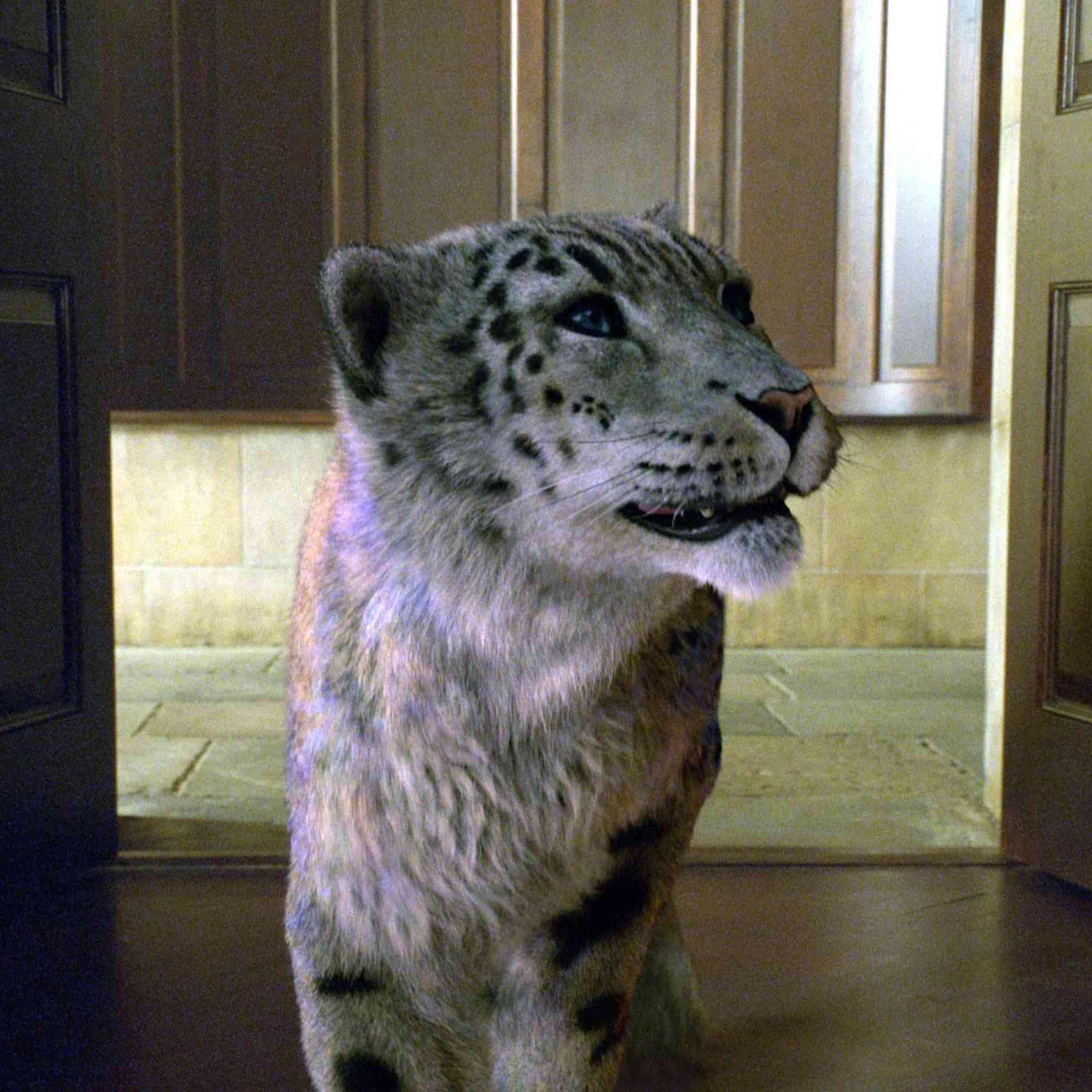 Image of Random Daemon In 'His Dark Materials'