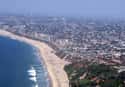 Los Angeles on Random Best Beach Cities in the World